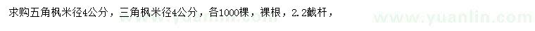 求購米徑4公分五角楓、三角楓