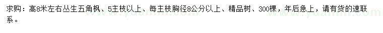 求購高8米左右叢生五角楓