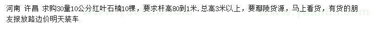 求購30量10公分紅葉石楠