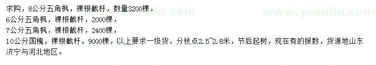 求購6、7、8公分五角楓、10公分國槐