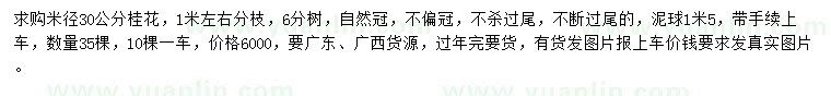 求購米徑30公分桂花