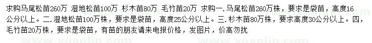 求購馬尾松苗、濕地松苗、杉木苗等