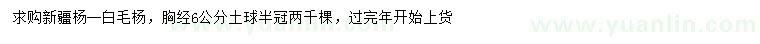 求購(gòu)胸徑6公分新疆楊、白毛楊