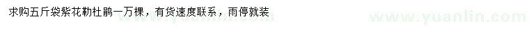 求購(gòu)紫花勒杜鵑