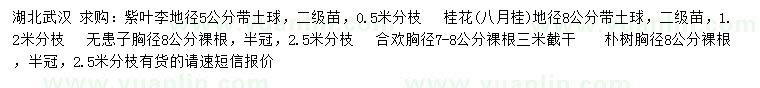 求購紫葉李、桂花、無患子等
