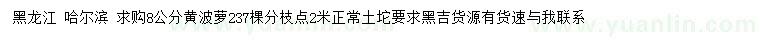 求購(gòu)8公分黃波蘿