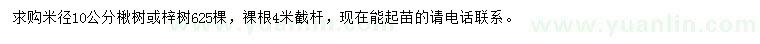 求購米徑10公分楸樹或梓樹