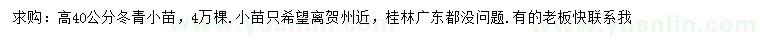 求購高40公分冬青小苗