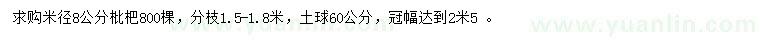 求購(gòu)米徑8公分枇杷
