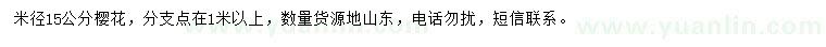 求購米徑15公分櫻花