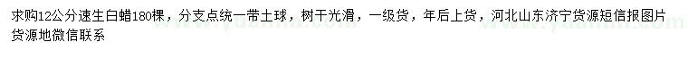 求購12公分速生白蠟