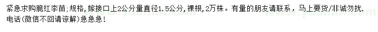 求購2公分直徑1.5公分脆紅李苗