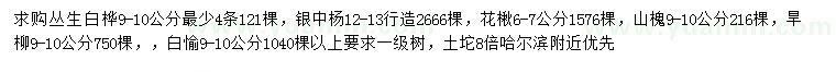 求購叢生白樺、銀中楊、花楸等