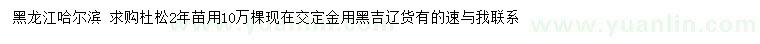求購杜松2年苗