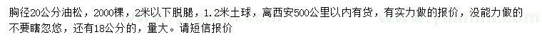 求購(gòu)胸徑18、20公分油松