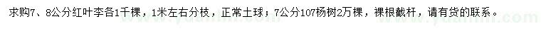 求購(gòu)7、8公分紅葉李、7公分107楊樹