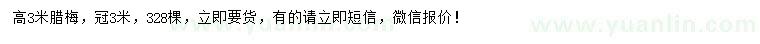 求購(gòu)高3米臘梅