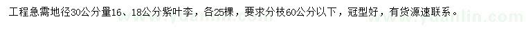 求購地徑30量16、18公分紫葉李