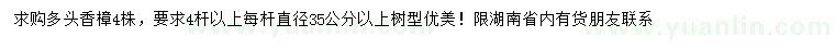 求購(gòu)4桿以上多頭香樟