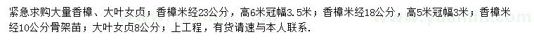 求購米徑10、18、23公分香樟、8公分大葉女貞