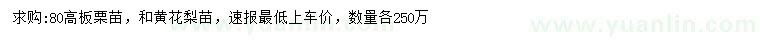 求購高80公分板栗苗、黃花梨苗