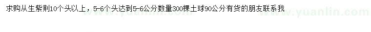 求購(gòu)10個(gè)頭以上從生紫荊