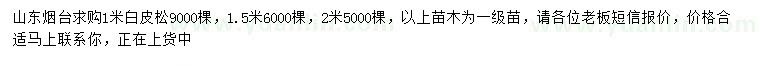 求購1、1.5、2米白皮松