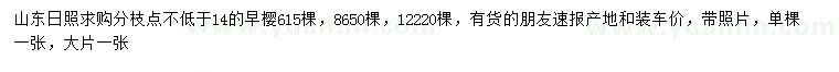求購(gòu)14公分早櫻