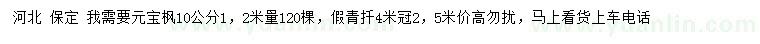 求購1.2米量10公分元寶楓