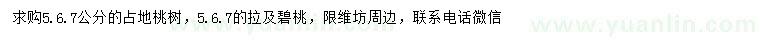 求購5、6、7公分占地桃樹、垃圾碧桃