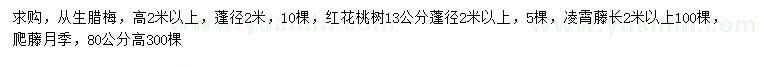求購從生臘梅、紅花桃樹、凌霄藤等