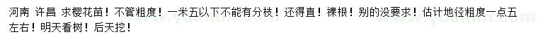 求購(gòu)地徑1.5公分左右櫻花苗