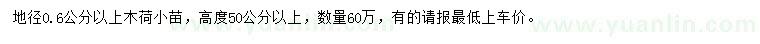 求購地徑0.6公分以上木荷小苗