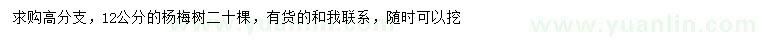 求購12公分楊梅樹