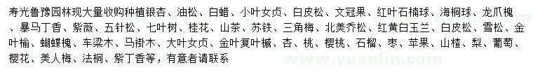 求購銀杏、白蠟、紅楓等