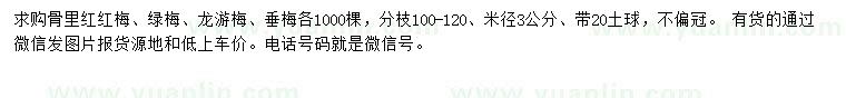 求購(gòu)骨里紅紅梅、綠梅、龍游梅等