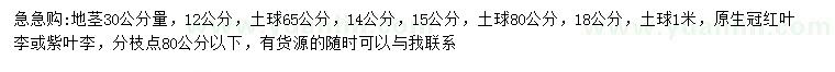 求購地徑30公分量12、14、15、18公分紅葉李或紫葉李
