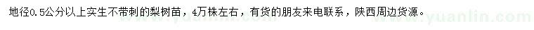 求購地徑0.5公分以上梨樹苗