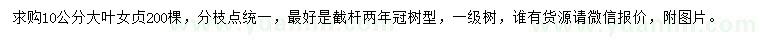求購10公分大葉女貞