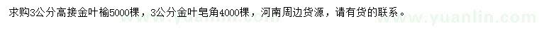 求購3公分金葉榆、金葉皂角