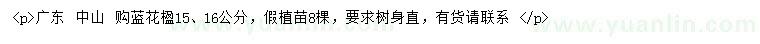 求購15、16公分藍(lán)花楹