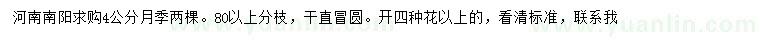 求購4公分月季
