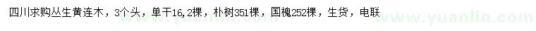 求購叢生黃連木、樸樹、國槐