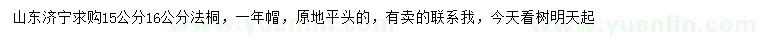 求購15、16公分法桐