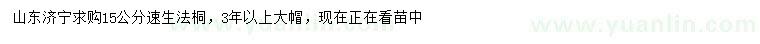 求購(gòu)15公分速生法桐