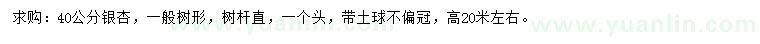求購40公分銀杏