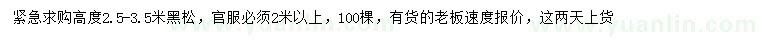 求購高度2.5-3.5米黑松
