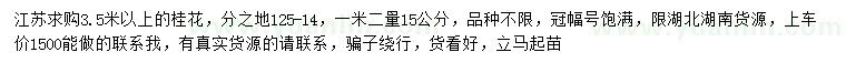 求購3.5米以上桂花