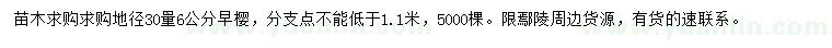 求購地徑30量6公分早櫻
