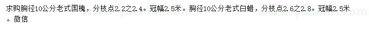 求購(gòu)胸徑10公分老式國(guó)槐、老工式白蠟